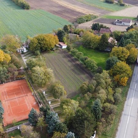B&B Villa Pipacs Feketić エクステリア 写真