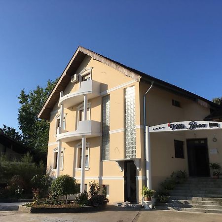 B&B Villa Pipacs Feketić エクステリア 写真