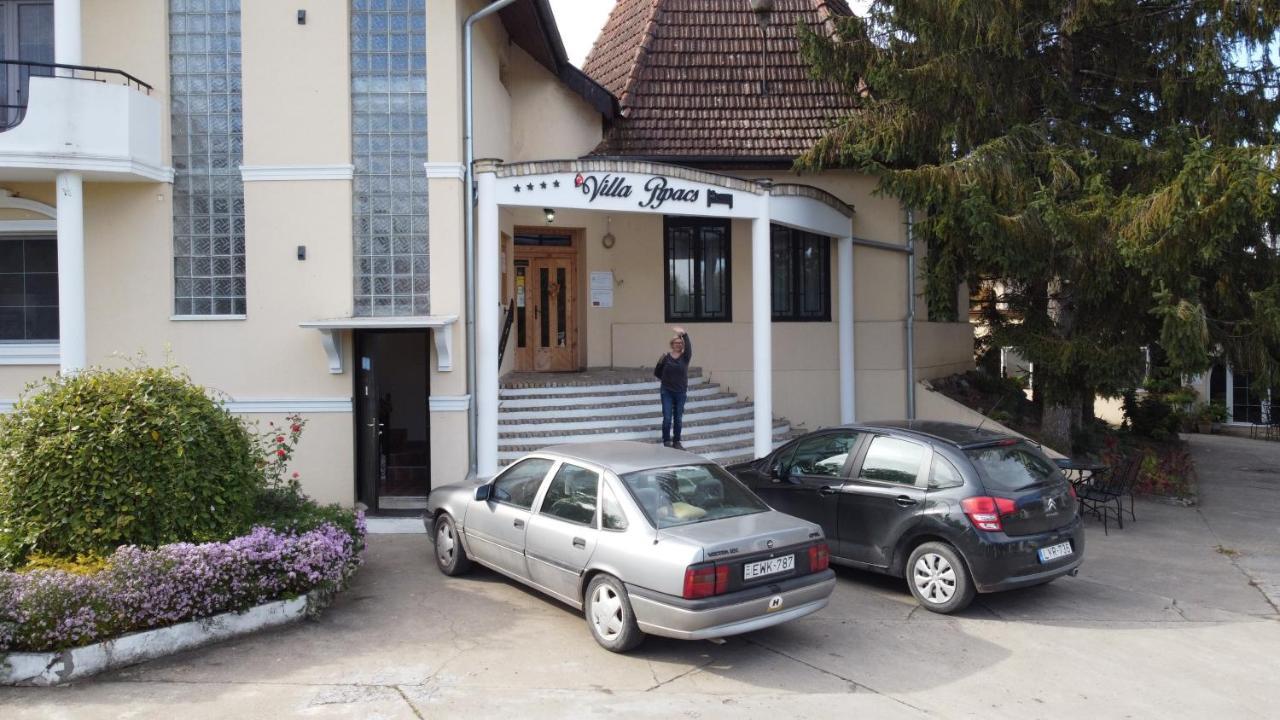 B&B Villa Pipacs Feketić エクステリア 写真