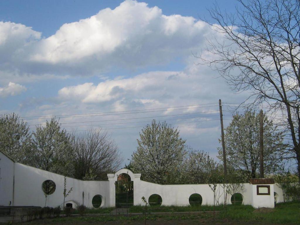 B&B Villa Pipacs Feketić エクステリア 写真