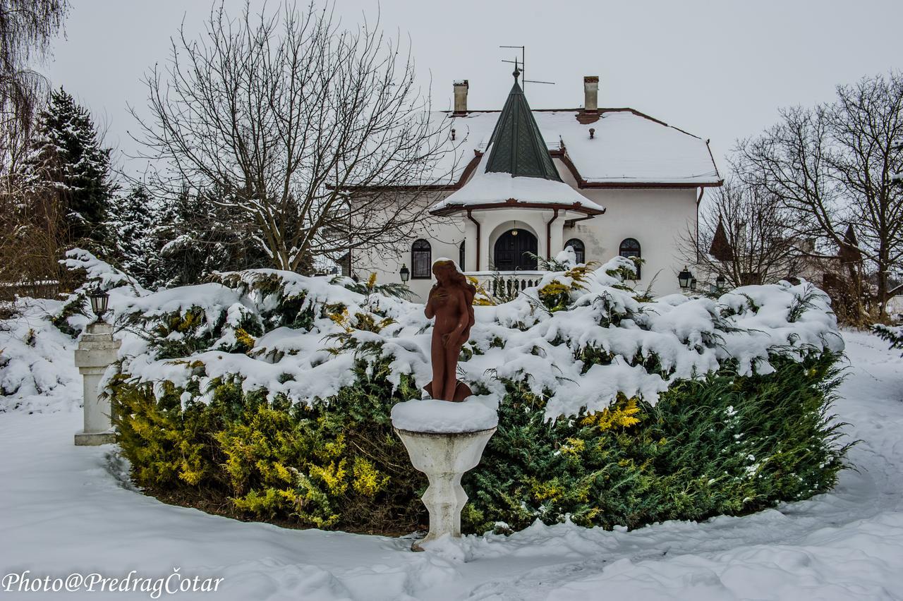 B&B Villa Pipacs Feketić エクステリア 写真