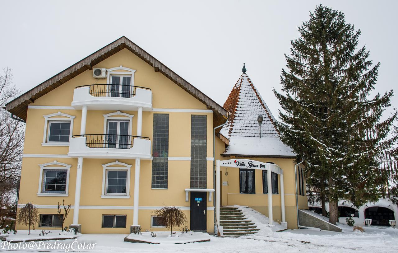 B&B Villa Pipacs Feketić エクステリア 写真